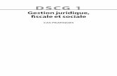 DSCG 1 - dunod.com · • Droit pénal boursier ... • Droit des sociétés appli cable aux participations • Règles juridiques, fiscales et sociales gouvernant certains