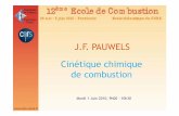 J.F. PAUWELS Cinétique chimique de combustionforefire.univ-corse.fr/ecoleComb2010/01062010-0900-Cinétique... · concentration de B est déduite algébriquement de celle de A. Cette
