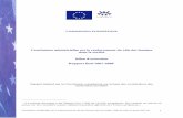 Conclusions ministérielles sur le renforcement du rôle …eeas.europa.eu/archives/docs/euromed/women/docs/istanbul_2008... · Conclusions ministérielles sur le renforcement du