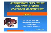 SYNDROMES OCCLUSIFS COLITES AIGUES …kayinamura.free.fr/docs/cours/occlusion.pdf · • Infarctus du myocarde (ECG). ... occlusion à ventre plat. DESAR 13/05/05 21-congestion (oedéme)