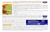 Le site en ligne dédié aux clubs de football pour …asdirinon.fr/images/fichiers-PDF/foottclubs-manuel.pdf · Pour en finir avec les bordereaux et aller droit au ... consulter