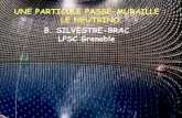 UNE PARTICULE PASSE-MURAILLE : LE NEUTRINO …amis-des-sciences.org/conferences/diapo/08_12_12.pdf · les noyaux des particules électriquement neutres, que je propose d’appeler