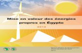 Mise en valeur des énergies propres en Égypte · 3.1 Programme en cours de l’Égypte et résultats ... ER Energies renouvelables ... STDF Fonds de Développement de la Science