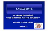 Malbouffe - Accueilals.univ-lorraine.fr/files/conferences/2010/Malbouffe.pdf · Lutte contre la mondialisation, la société de consommation, le ... cours de la journée Valeurs individuelles