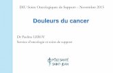Dr Pauline LEROY Service d’oncologie et soins de …bio-msi.fr/wp-content/uploads/2017/02/DIU.douleur-et-cancer.pdf · Augmentation de l’incidence du cancer mais diminution de