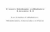 Cours biologie cellulaire Licence L1 - dphu.org · Fronti res, changes, communication, et adh sion ¥Concepts de biologie cellulaire Ç Le concept est la totalit des d terminations,