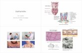 dysthyroïdie 4 mai 2016 - HUG · Histologie Réseau capillaire autour des follicules ... Hyperthyroïdie sur Cordarone ...