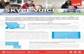 LA VOIE SKYPE VOICE - offers.ai3.froffers.ai3.fr/skypevoice/_office_OnePager_Skype.pdf · la tablette…en tÉlÉphonie d’entreprise haut de gamme. Conversation audio et vidéo