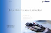 Les câbles sous-marins - telecom.insa-lyon.frtelecom.insa-lyon.fr/sites/default/files/cgt/promo-20092012... · télégraphie aérien et optique de conception mécanique fonctionnant
