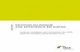 GESTION DU RISQUE AXE EFFICIENCE EN EHPAD · PDF file(CA) de la section soin des EHPAD et de données issues de la CNAMTS (outil RESID EHPAD). Après une année d’expérimentation