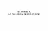 CHAPITRE 4. LA FONCTION RESPIRATOIREf3.quomodo.com/BAF53626/uploads/483/PHYSIOLOGIE. LA FONCITON... · Permet de : - Défendre le système respiratoire contre les ... de plus grandes