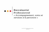 Presentation bac proASSP Lille [Mode de compatibilité]sbssa.discipline.ac-lille.fr/ressources-par-sections/bacpro/bacpro... · B.3 - Participation au contrôle et à la gestion Qualité