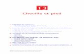 CHAPITRE 13 - Accueilguidekt.net/TRANSFERTS/PIED.pdf · Cheville et pied EntorsEs dE ... • Incidence de Walter-Müller-Guntz ... cliché dynamique de face en « varus forcé »