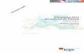 Rapport public - InfoTerreinfoterre.brgm.fr/rapports/RP-61340-FR.pdf · Panorama 2011 du marché du lithium BRGM/RP-61340-FR – Rapport public 5 Il existe aussi des concentrations
