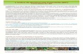 L’Indice de Biodiversité Potentielle (IBP)biodifor.fr/archives/2012-2013/IBPfichedefinitions8mars2013... · CALCUL DE L’IBP Il consiste à ... un abri / coulée de sève (résine