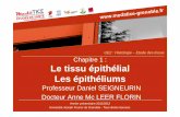 UE2 : Histologie – Etude des tissus Chapitre 1 : Le …unf3s.cerimes.fr/media/paces/Grenoble_1112/florin_mcleer_anne/... · tissus sous-jacents ... partie sont réservés pour les