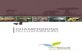 CHAMPIGNONS DU LUXEMBOURG - natur&ëmwelt · traces des champignons comestibles et toxiques du Luxembourg Administration de la Nature et des Forêts, Luxembourg [coll : M -T Tholl,