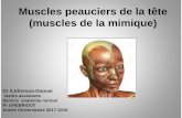 Muscles peauciers de la face DR KHEROUA 2017-2018facmed-univ-oran.dz/ressources/fichiers_produits/fichier_produit... · I-Introduction Les muscles peauciers de la tête se divisent
