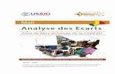 MALI : UNE ANALYSE DES ECARTS - … Gap... · L’analyse des écarts du Mali fournit un cadre d’action qui peut être utilisé par la CEDEAO et le Gouvernement du Mali pour traiter