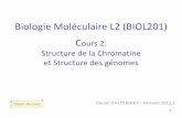 Biologie Moléculaire L2 (BIOL201) Cours 2: Structure …rna.igmors.u-psud.fr/gautheret/cours/L2-ADN2.pdf · Le gène Un gène est une séquence d'acide désoxyribonucléique (ADN)