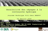 Journée Technique Viti-Oeno AREDVI · Contexte général • La vigne : une plante cultivée en conditions «sub-optimale»-> Qualité technologique • Ces conditions correspondent