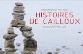 BIBLIOTHÈQUE MÉJANES HISTOIRES DE CAILLOUX · Dominique Loreau filme trois installations éphémères, végé- tales, de l’artiste belge Bob Verschueren depuis leur processus