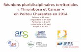 Réunions pluridisciplinaires territoriales « Thrombose et ... · PDF fileMaladie thromboembolique veineuse Thrombose veineuse profonde Embolie pulmonaire ... Dépistage d’un cancer