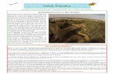 5 Infos Travaux - siavb.fr · Syndicat Intercommunal pour l’Assainissement de la Vallée de la Bièvre Infos Travaux 5 ... des dossiers, le projet de chemin latéral permettant