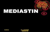 MEDIASTIN - eddirasa.com · •Le médiastin est limité : En avant par la face postérieure du sternum et des cartilages costaux ; En arrière par le plan de la colonne