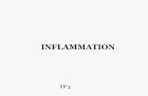 INFLAMMATION - iasi-medecine.weebly.comiasi-medecine.weebly.com/uploads/5/4/8/2/5482113/... · modifications vasculaires et cellulaires dans le foyer inflammatoire modifications vasculaires