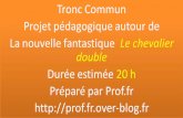 Projet pédagogique autour de La nouvelle fantastique …ddata.over-blog.com/.../Module-3-Le-chevalier-double.prof.fr.pdf · La nouvelle fantastique Le chevalier double ... Le thème