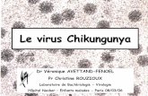 Le virus Chikungunya - microbes-edu.org · Le virus Chikungunya Dr Véronique AVETTAND-FENOEL Pr Christine ROUZIOUX Laboratoire de Bactériologie - Virologie Hôpital Necker – Enfants