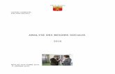 ANALYSE DES BESOINS SOCIAUX - meyzieu.fr · centre communal d'action sociale analyse des besoins sociaux 2016 rÉalisÉ d'octobre 2015 À janvier 2016