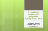 Syndrome Douloureux Régional Complexe I et II - …‚me... · Complexe de type 1 ou Algodystrophie ... (gabapentine, prégabaline, lamotrigine), le néfopam 22 . 4- Les modulateurs
