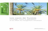 Les oasis de Tunisie - environnement.gov.tn · en eau qui sont à la base de l’activité agricole et de la vie en milieu oasien. ... menthe et plantes florales ... patrimoine agricole