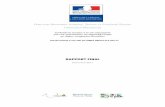 RAPPORT FINAL - occitanie.drjscs.gouv.froccitanie.drjscs.gouv.fr/sites/occitanie.drjscs.gouv.fr/IMG/pdf/... · res sanitaires et sociales (DRASS), les directions régionales de la