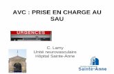 AVC : PRISE EN CHARGE AU SAU - medesim.frmedesim.fr/doc/cours2011DU2/Module1/AVC CAMU 2013.pdf · 130 000 nouveaux AVC par an soit 1 toutes les 4 minutes 1/3 des patients ayant fait