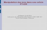Manipulation des ions dans une cellule FT-ICRpagesperso.lcp.u-psud.fr/vanderrest/Documents/2008_Mouvement_ion… · Cas d'un champ magnétique seul ... Production in situ : piégeage