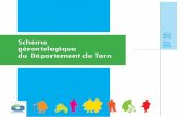 Schéma - Accueil Tarn - Personnes âgéespersonnes-agees.tarn.fr/espace-pro/Documents/schema-gerontologiqu… · 3 B / Un schéma départemental 2017-2021 qui s’inscrit dans un