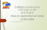 Collège DUPLESSIS-DEVILLE FAUCOGNEY LA MER … · Faucogney-et-la-Mer Le projet d ... est la feuille de route pédagogique ... • Projet d’accueil physique définitif de la classe