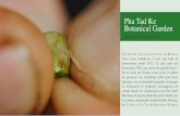 Pha Tad Ke Botanical Garden · 108, rue JP Timbaud, 75011 Paris, France ... Quant au nom « lotus » il est d’origine incertaine, ... Lakshmi, déesse de la ...