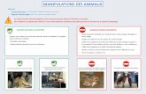 Manipulation des animaux - agriculture.gouv.fragriculture.gouv.fr/.../aid-2015-fiche_3_manipulation_des_animaux.pdf · Objectifs : Sécurité des opérateurs: Une manipulation adaptée
