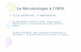 La Microbiologie à l’IBFA - univ-nktt.yolasite.comuniv-nktt.yolasite.com/resources/2-cours-microbiologie-l2.pdf · Alimentaire ( ~15 personnes dont ... Quel est l’avenir de la