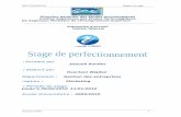 Direction générale des études technologiques Institut ...d1n7iqsz6ob2ad.cloudfront.net/document/pdf/538f286616fe8.pdf · rentabilité de Tunisie Télécom et à lui permettre ...