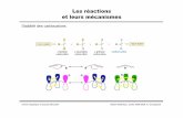 Les réactions et leurs mécanismes -  · Les réactions et leurs mécanismes Réactivité des carbocations Chimie Organique et Supramoléculaire Master Matériaux, année 2008-2009,