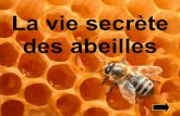 La vie secrète des abeilles - MenuTicEdu · Le cycle de la vie de l'abeille commence avec la ponte des oeufs. La reine pond dans les alvéoles de 1500 à 3000 oeufs. La reine qui
