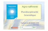 AT25 l Agro-raffinage des productions v g tales et ...toulouse2009.udppc.asso.fr/pdf/AT25.pdf · Huiles Pétrochimie Non renouvelable • Engrais • Produits phytosanitaires •