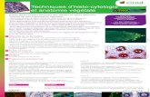 Techniques d’histo-cytologie et anatomie végétale · et anatomie végétale ... -Structure des principaux organes végétaux (tiges, racines, feuilles et fleurs).Corps primaire/Corps