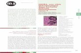 médecine/sciences 2011 ; 27 : 391-7 CXCR4, une cible · par les cellules stromales, épithéliales et endothéliales, notamment dans les organes lymphoïdes (OL), et constitue l’unique