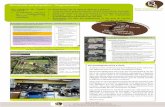 Démarche participative : l’organisation - management de … · Aménagement du secteur de Pont Chabeau - Comité Consultatif n °4 3 novembre : propositions Etival Lès Le Mans